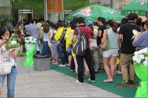 王心凌、言承旭、宋祖英、周杰倫、粱靜茹演唱會(huì)