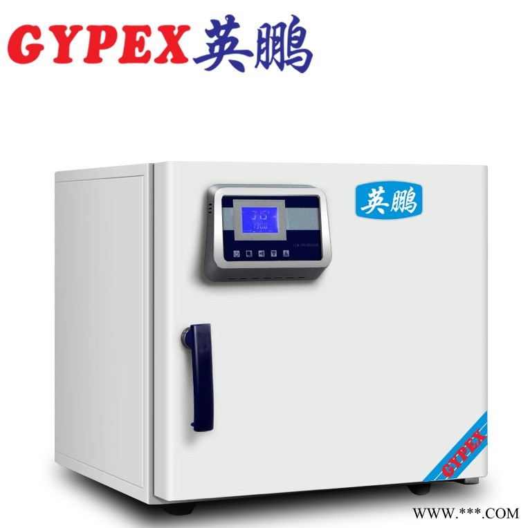 水城實驗室干燥箱，電熱恒溫干燥箱