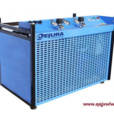 DEJURA   DW400  小型高壓醫(yī)用往復式活塞壓縮機