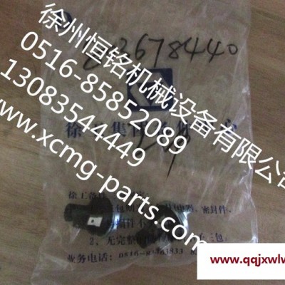 徐工機(jī)械及行業(yè)設(shè)備專用配件803678440  X207811(R1/8-0.8BARR)壓力開關(guān)