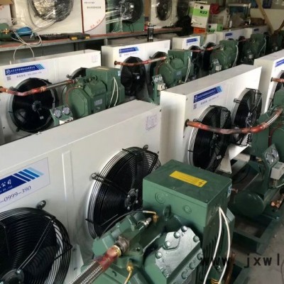 4VES-10比澤爾冷庫制冷壓縮機機組  比澤爾冷凍庫制冷機組保鮮庫機組
