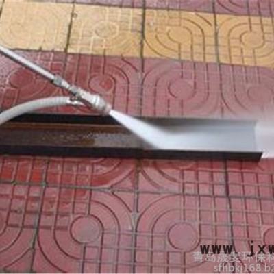 晟斐環(huán)保SF/50-22 廣西換熱器冷凝器清洗疏通用高壓清洗機水噴砂機高壓水槍