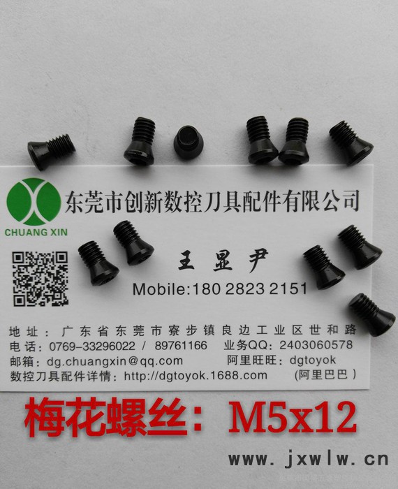 數(shù)控刀具配件  梅花螺絲M5x12   車(chē)刀壓板  銑刀壓板  紅旗扳手