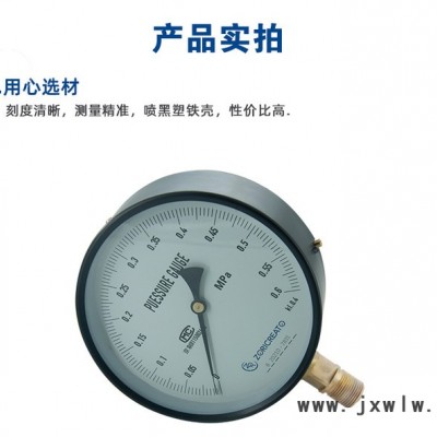 ZORICREATO/卓然天工Y60精密壓力表 精密壓力表  負壓壓力表 真空 壓力表定制加工精密壓力表