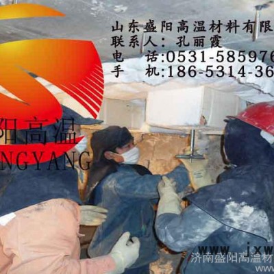 工業(yè)爐保溫陶瓷纖維模塊耐火棉安裝