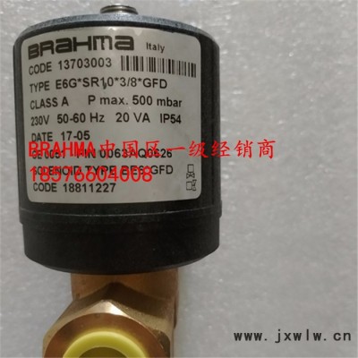 E6G*SR10*3/8*GFD布拉瑪天然 液化氣電磁閥13703003燃燒機(jī) 爐頭工業(yè)爐