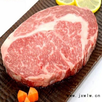 濟南好為爾牛肉雞肉嫩化機 肉類壓花機 雞胸肉斷筋設備