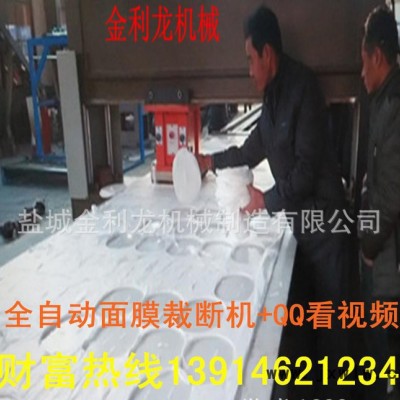 雙邊自動送料裁斷機下料機 無紡布布料制鞋裁切機 鹽城裁斷機企