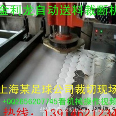 浙江慈溪肖林PLC電腦編程自動(dòng)送料裁斷機(jī)【辦：青春路266號(hào)