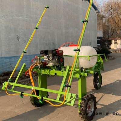 花生施肥播種覆膜機(jī) 湖南新型花生播種覆膜機(jī) 毛豆播種打藥覆膜機(jī)