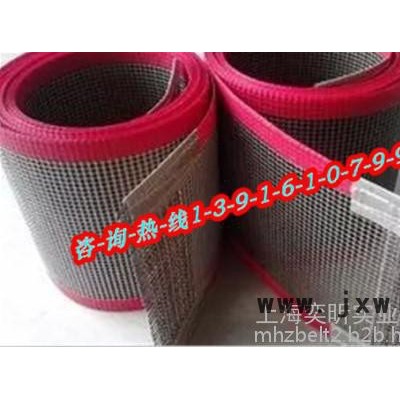 專業(yè)生產(chǎn)-涂布機烘箱輸送帶，上光機輸送帶，IR紅外烘干輸送帶