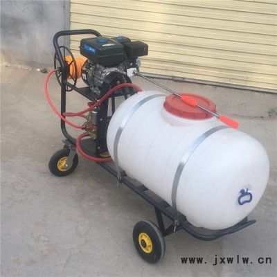 金佳牌高桿噴霧器 手推式大容量打藥機(jī) 可調(diào)寬度花生噴藥覆膜機(jī)