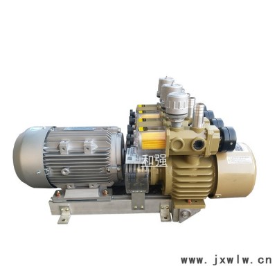 雙頭氣泵 HZB50-SS-VB-03 噪音低體積小 用于編帶機(jī) 折頁機(jī)模切機(jī)貼片機(jī)折紙機(jī)用泵