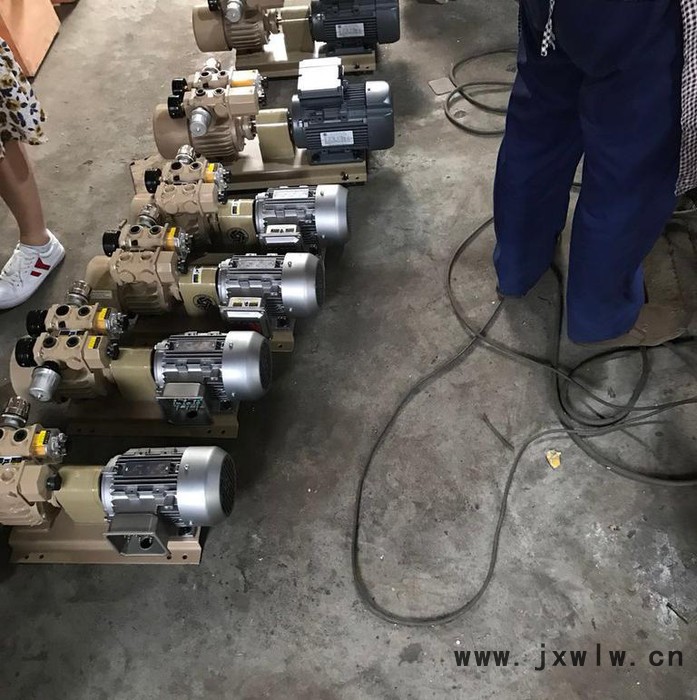 國產(chǎn)鎮(zhèn)江通達真空泵WZB40-P-VB-03印刷機雕刻機裱紙機配頁機旋片泵折頁機配頁機