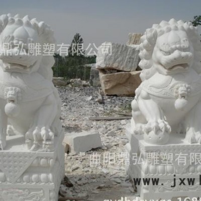 石雕動(dòng)物 漢白玉石獅子 青石鎮(zhèn)宅招財(cái)石獅子  曲陽(yáng)雕刻直銷