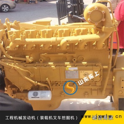 濰坊濰柴發(fā)動(dòng)機(jī)WD10G220E21 柳工鏟車發(fā)動(dòng)機(jī)臨工裝載機(jī)用發(fā)動(dòng)機(jī)