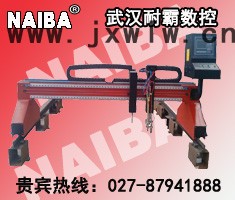 供應(yīng)武漢耐霸大龍門式火焰/等離子切割機(jī)（QZM1-4060-DH)