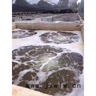 亞士霸風(fēng)機(jī) HG-4000S 浙江亞士霸旋渦風(fēng)機(jī)旋渦氣泵高壓羅茨鼓風(fēng)機(jī)