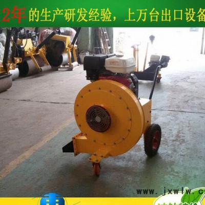手扶式路面吹風(fēng)機 馬路吹風(fēng)機 路面清理吹風(fēng)機價格 吹風(fēng)機質(zhì)量