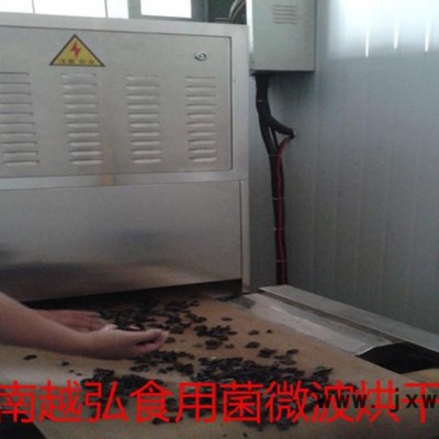 隧道式食用菌微波干燥殺蟲設(shè)備 微波干燥設(shè)備