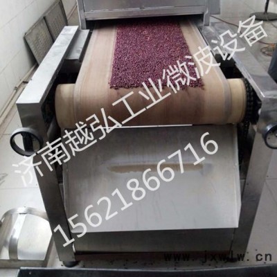 定制農(nóng)副產(chǎn)品微波干燥滅菌設(shè)備 微波干燥設(shè)備