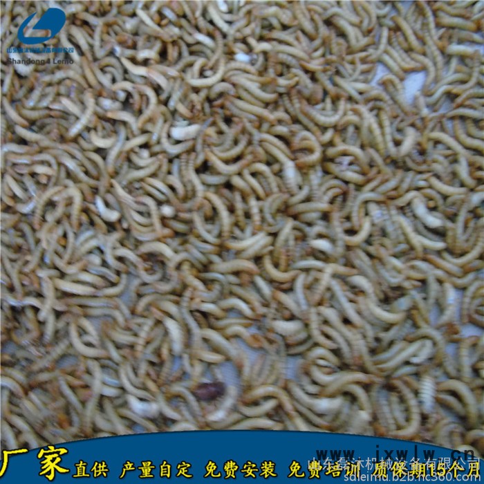 濟南黑水虻微波干燥設(shè)備價格 面包蟲活蟲烘干膨脹設(shè)備