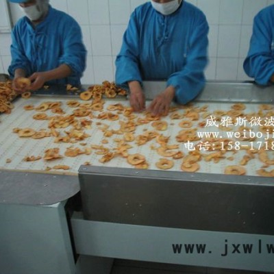 威雅斯微波真空干燥設備參數(shù)價格明細