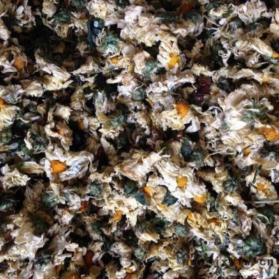 供應(yīng)帶式干燥設(shè)備  慶華菊花加工設(shè)備  菊花烘干設(shè)備 菊花烘干機(jī)