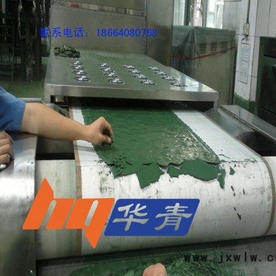 化工廠微波干燥設備 高粘度漿料污泥 微波干燥設備效率高