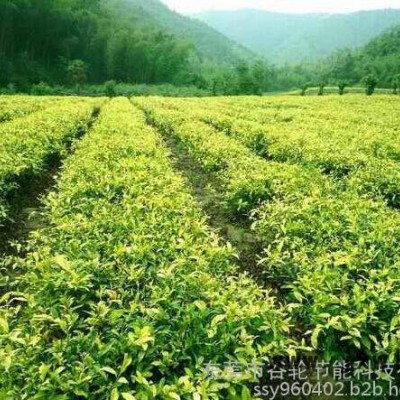 廣東谷輪茶葉烘干機(jī)、茶葉烘干房、節(jié)電節(jié)能設(shè)備、箱式干燥設(shè)備