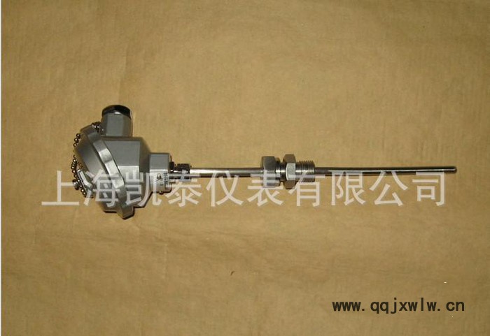 鎧裝熱電偶;熱電阻/溫度儀表 活動螺紋安裝鎧裝偶