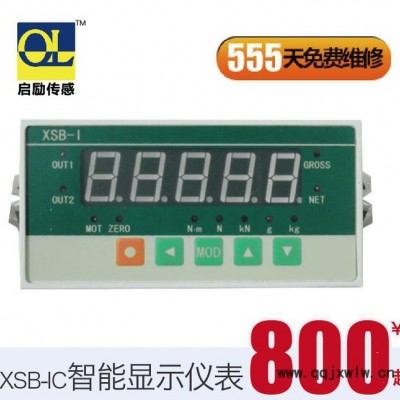 XSB-I 高速智能顯示儀表 高精度 快響應速度 稱重測量實驗儀表