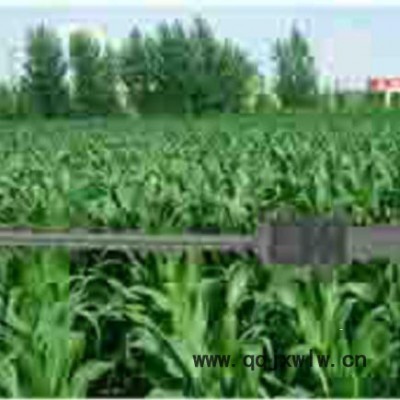 海富達(dá)SL03 植物冠層分析儀（中西器材） 庫(kù)號(hào)：M102008