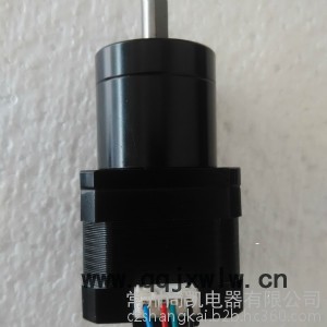 廠家大量供應(yīng)行星直流減速電機(jī) 行星步進(jìn)減速機(jī) 3D打印機(jī)電機(jī) 雕刻機(jī)電機(jī)