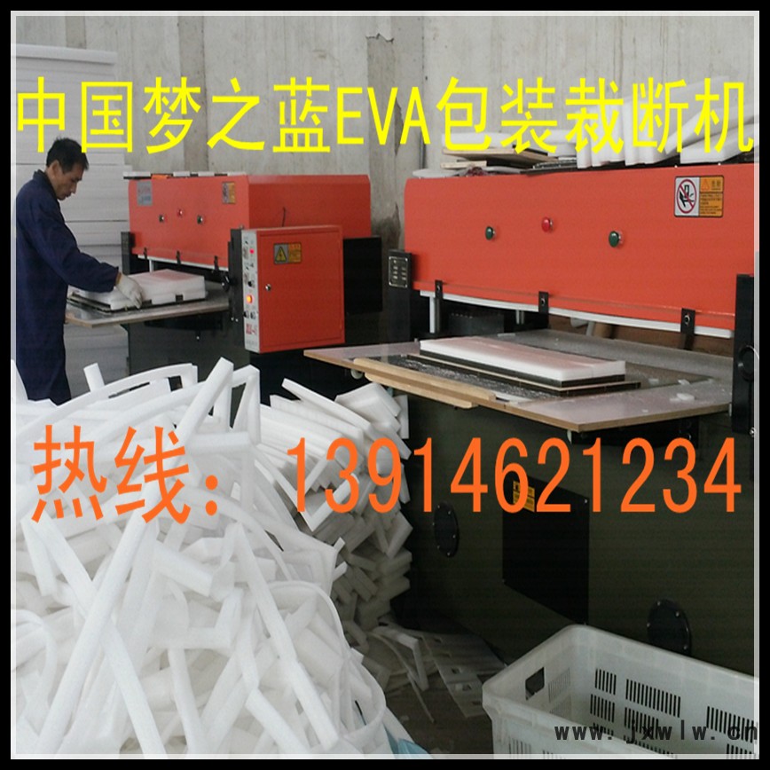 金利龍副本