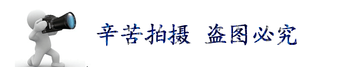 QQ圖片20160609164305