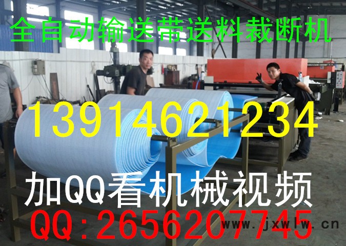 照片 155_副本