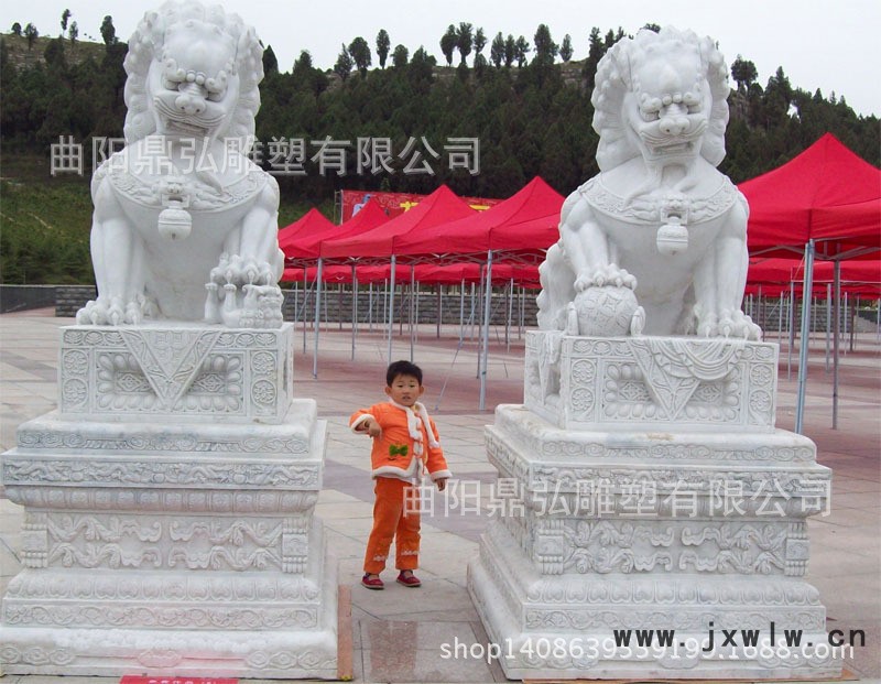 20100121184117062636