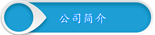 公司簡介