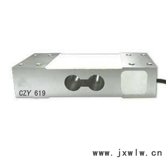 CZY619