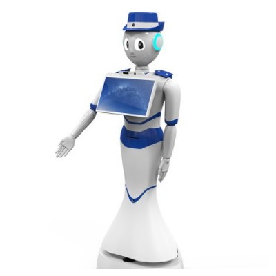 ai商用服務(wù)機(jī)器人wifi多功能咨詢接待機(jī)男女聲語音對話機(jī)器人批發(fā)