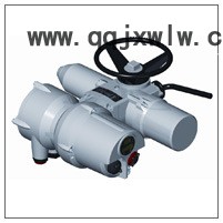 電動(dòng)執(zhí)行機(jī)構(gòu) 11MIL