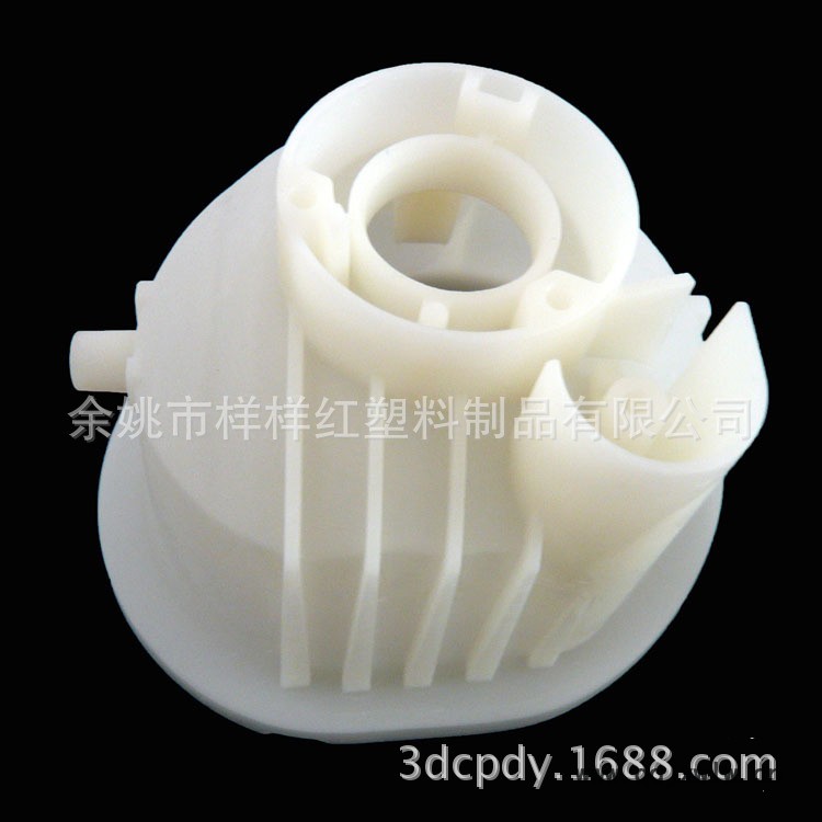 P1020311